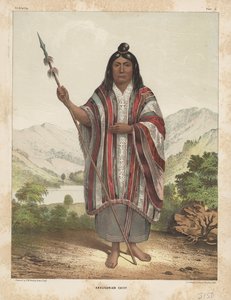 アラウカニアンチーフ、1855 作： John Mix Stanley